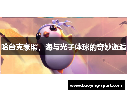哈台克豪照，海与光子体球的奇妙邂逅